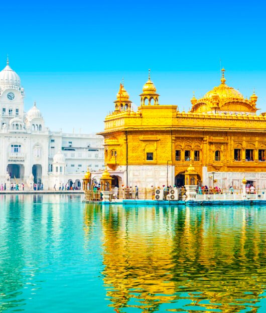 All India Tour Packages